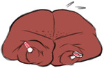 post